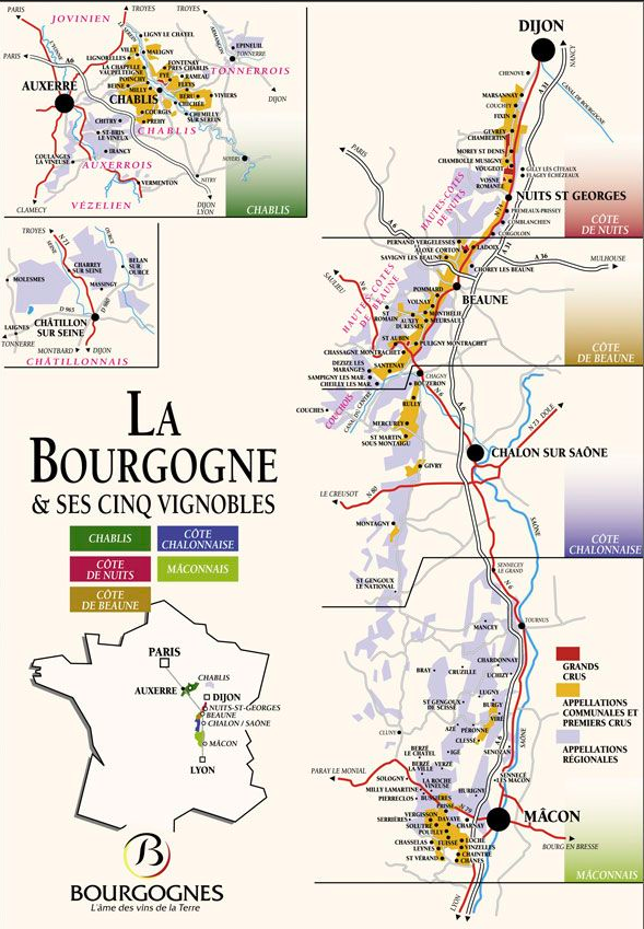 Bourgogne Tasting 2017